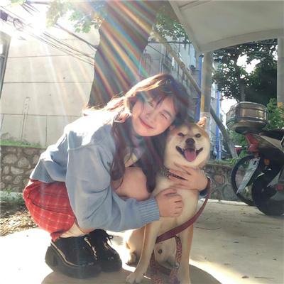 刑事7人 第八季